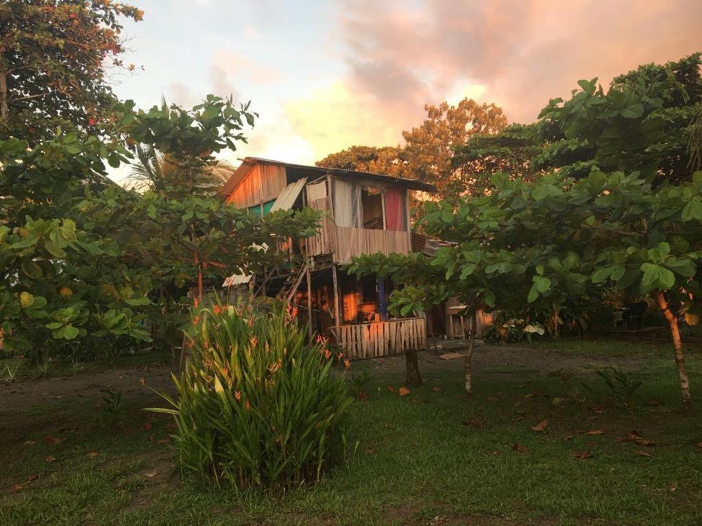 Miguel Surf Camp Hotel Quepos Eksteriør billede