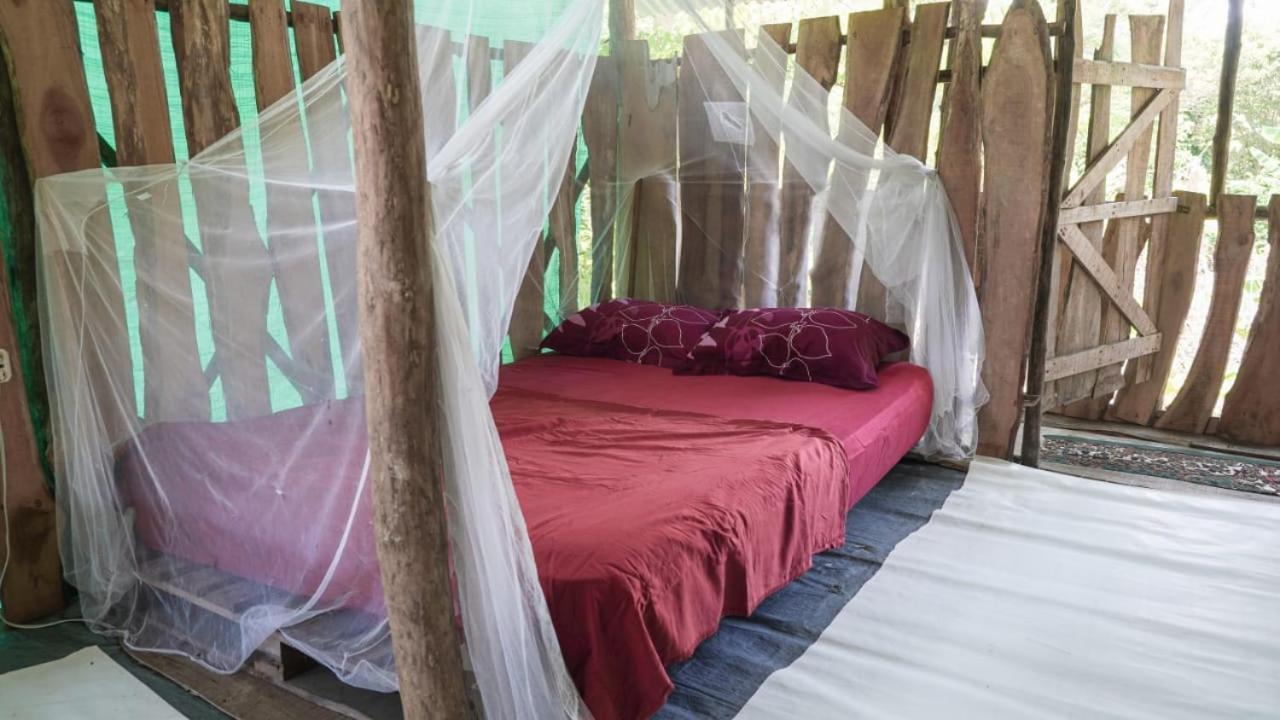 Miguel Surf Camp Hotel Quepos Eksteriør billede