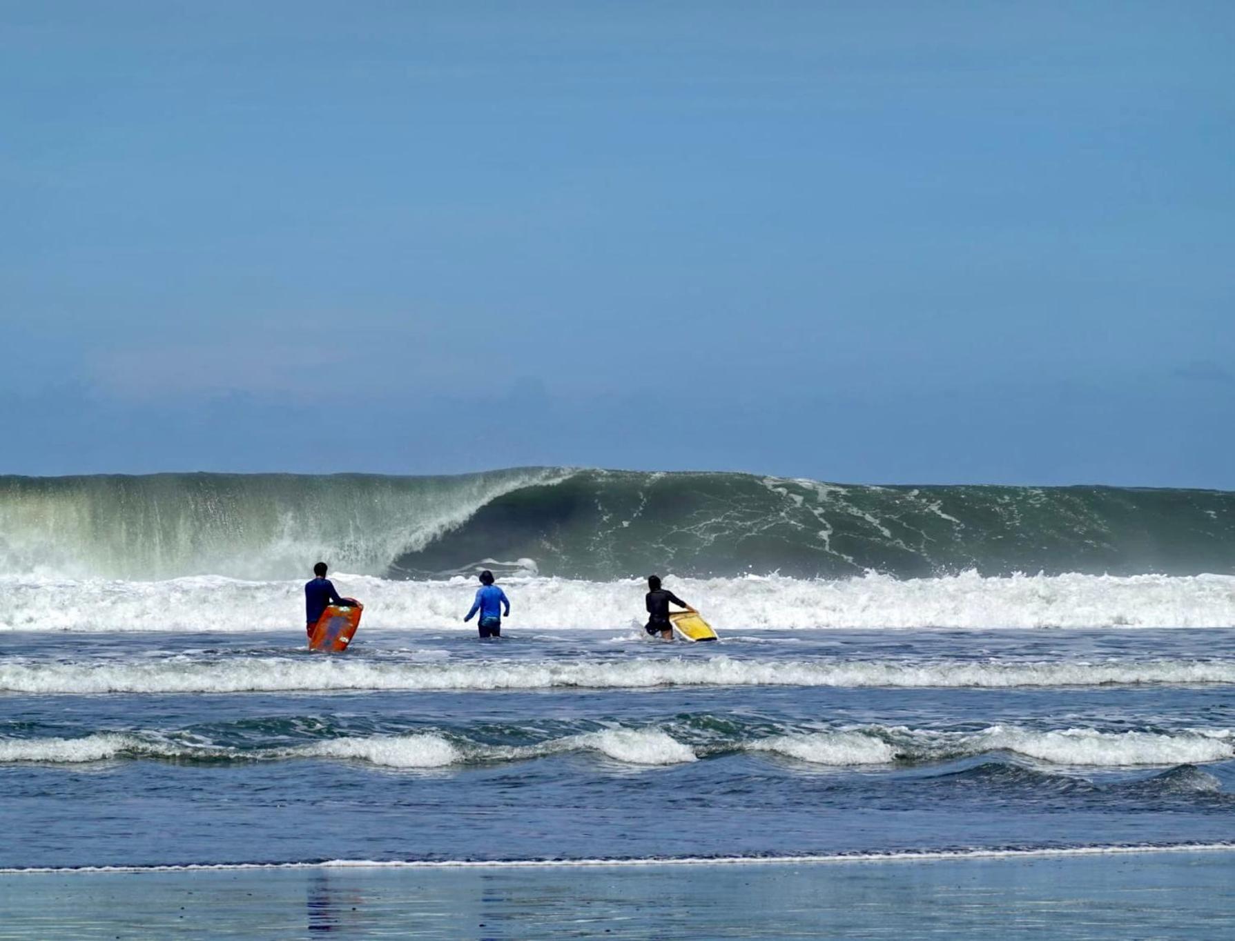 Miguel Surf Camp Hotel Quepos Eksteriør billede