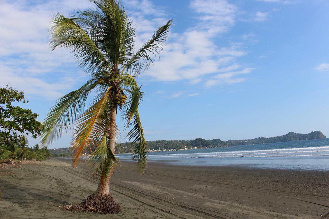 Miguel Surf Camp Hotel Quepos Eksteriør billede